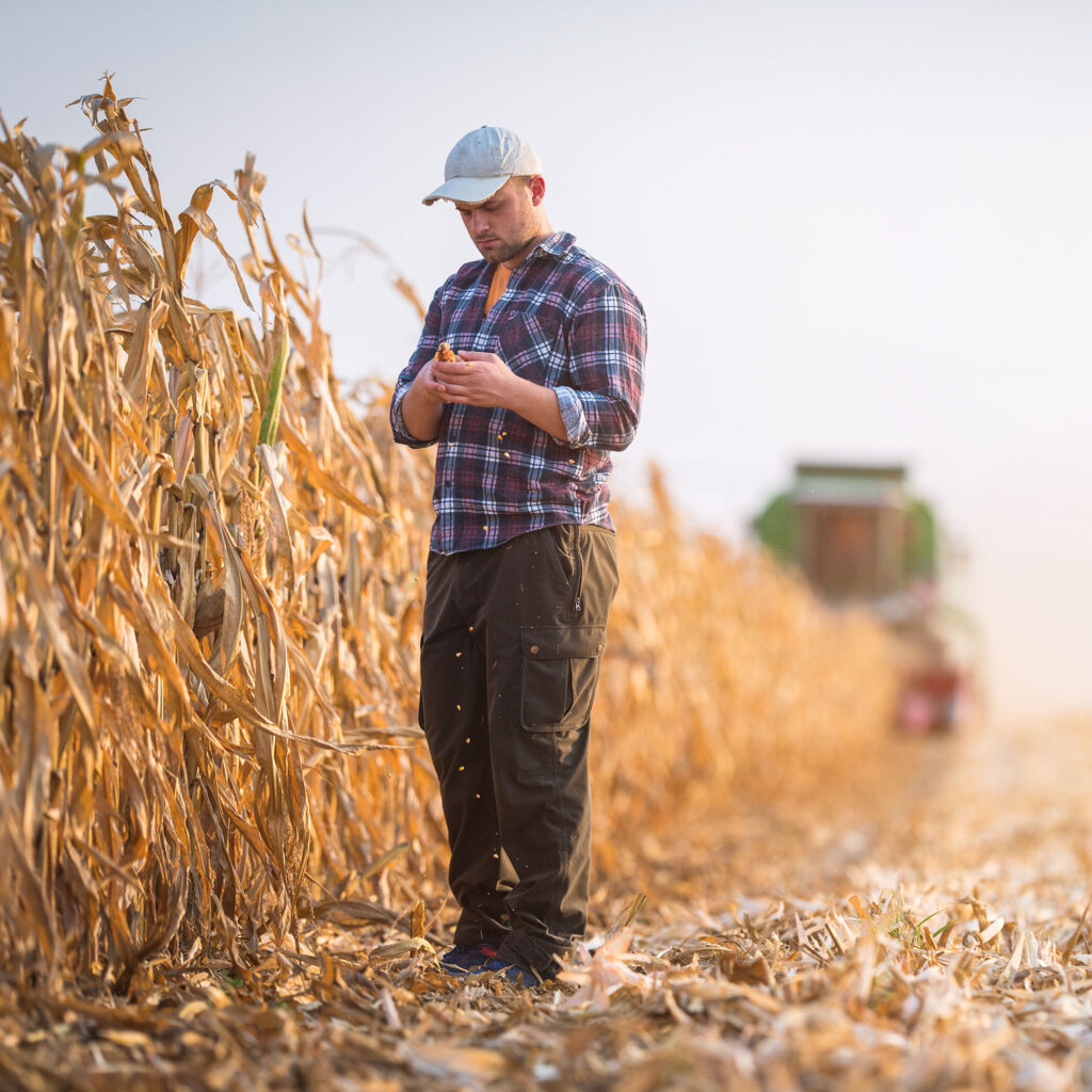 Farmer